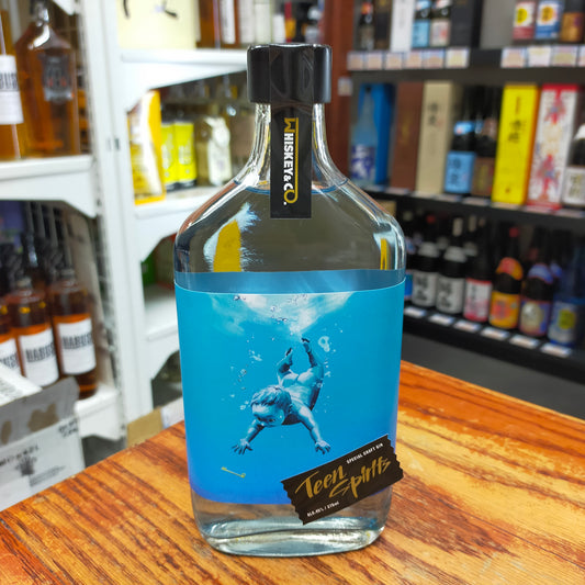 Teen Spirits(ティーンスピリッツ) 45度 375ml